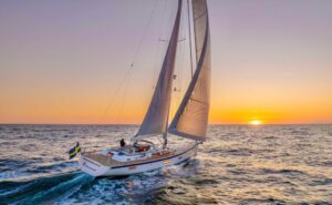 CEカテゴリーとは